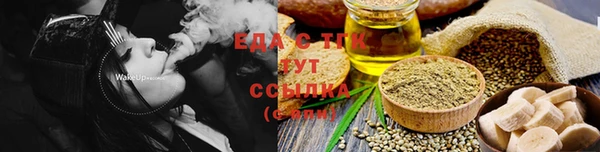 индика Кинешма