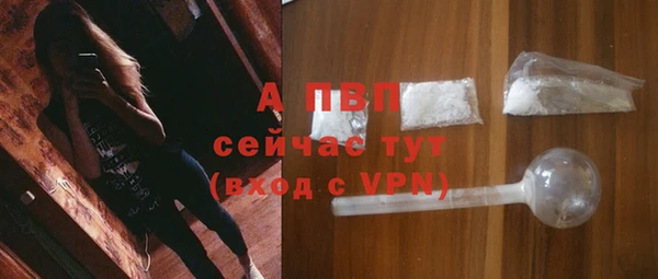 ГАЛЛЮЦИНОГЕННЫЕ ГРИБЫ Карпинск