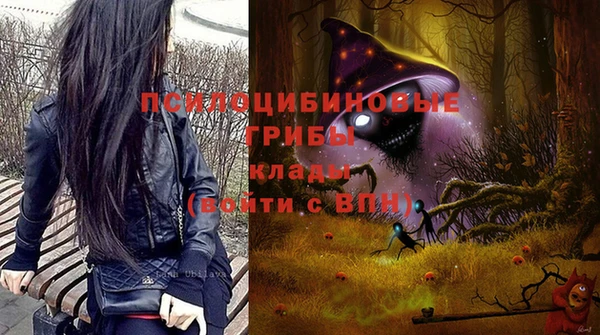 ГАЛЛЮЦИНОГЕННЫЕ ГРИБЫ Карпинск