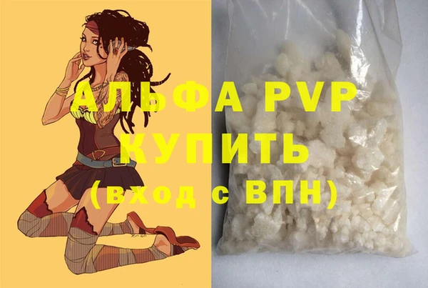 шишки Каменка