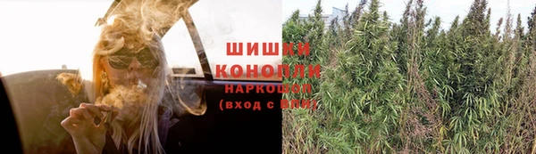 мяу мяу мука Карталы