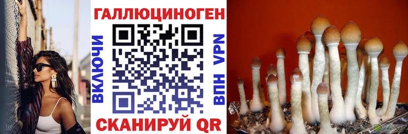 OMG как войти  Александровское  Галлюциногенные грибы прущие грибы 